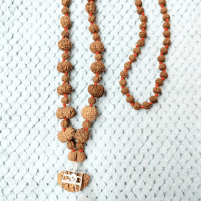 Collection of rudraksha beads in a mala